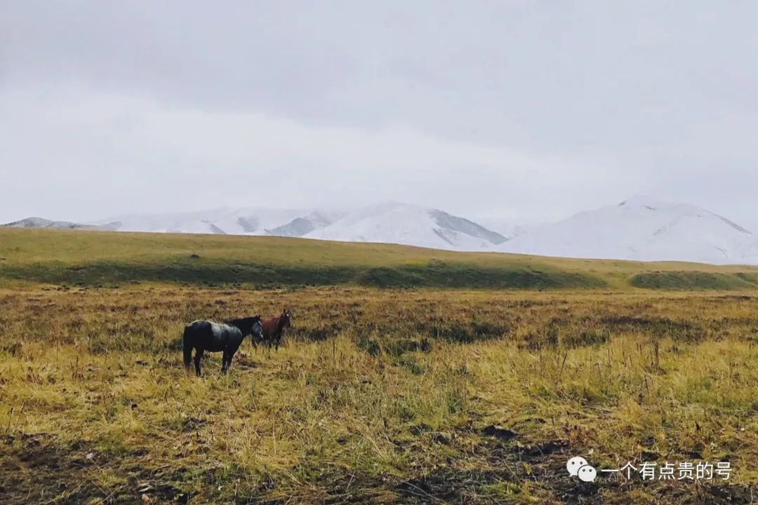 带父母出国去哪里旅游好_国内4天去哪里旅游好_冬天出国旅游去哪里好