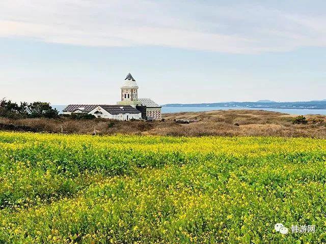 济州岛旅游攻略自由行_济州岛旅游价格_济州岛旅行团