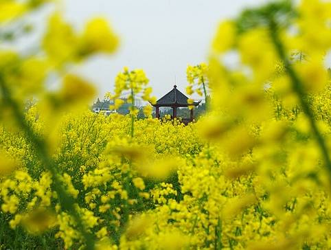 重庆金刀峡旅游攻略_重庆市金刀峡旅游攻略_重庆市金刀峡多少钱门票