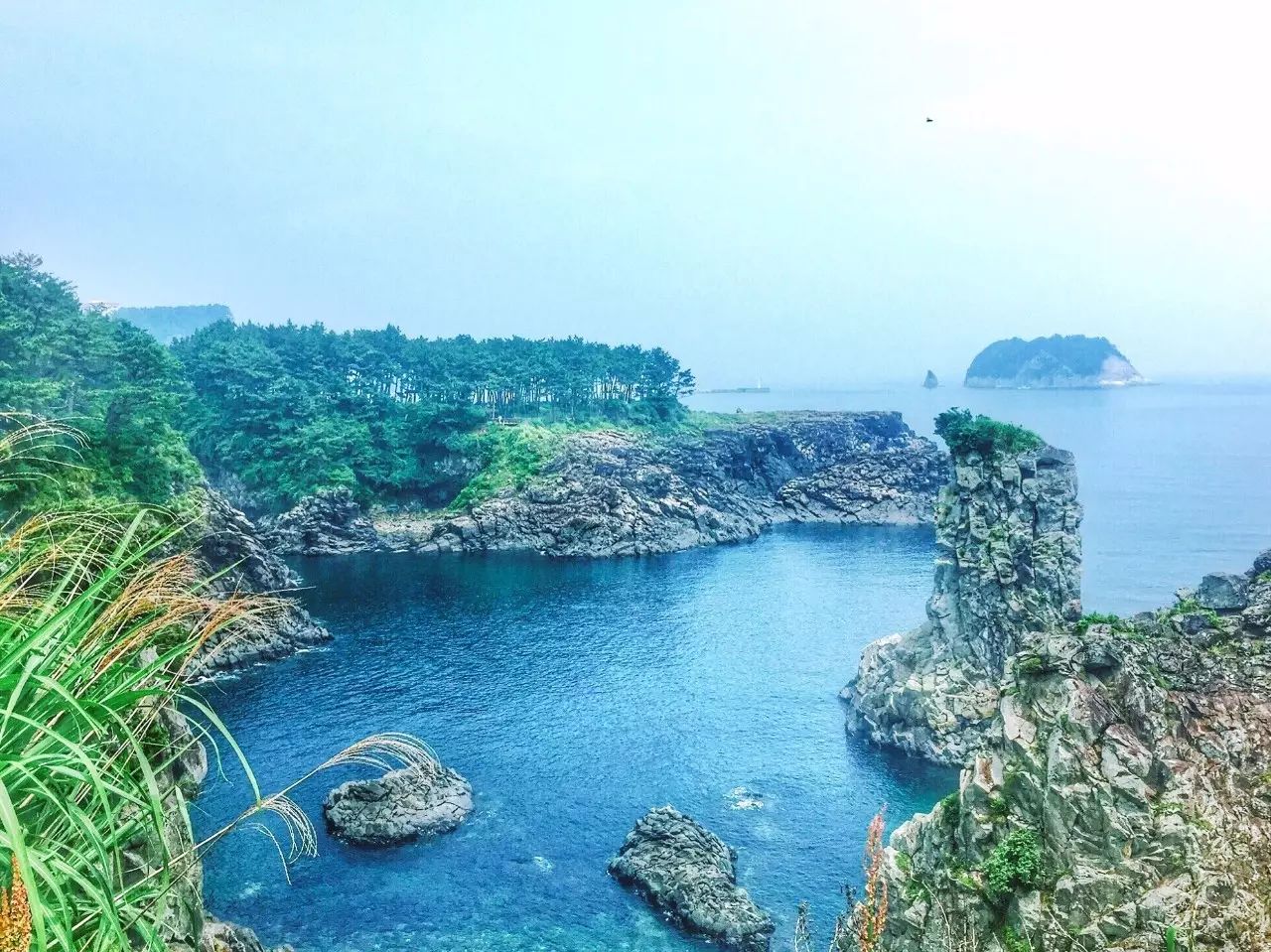 济州岛12月旅游攻略_济州岛旅游旺季_济州岛几月份去