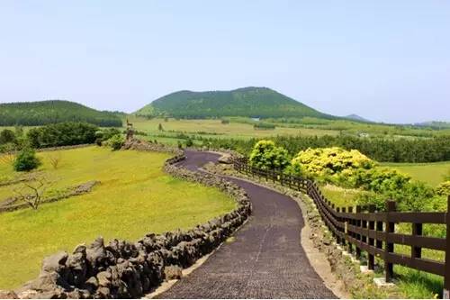 济州岛几月份去_济州岛12月旅游攻略_济州岛旅游旺季