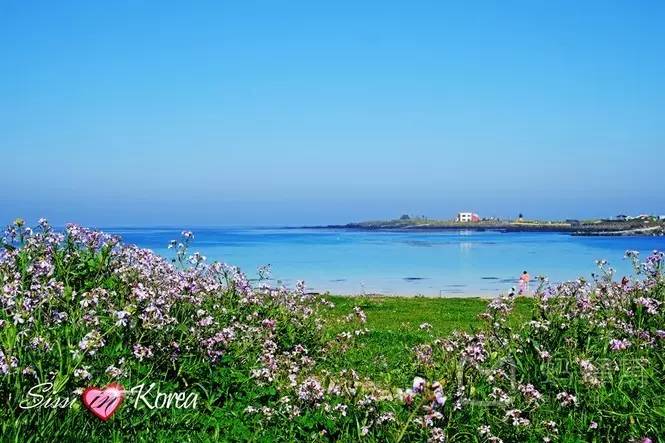 国外海边旅游哪里好_国外海边旅游哪里好_国外海边旅游哪里好