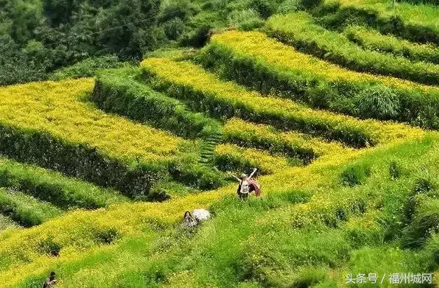 壶江岛好玩吗_岛旅游景点_壶江岛旅游攻略