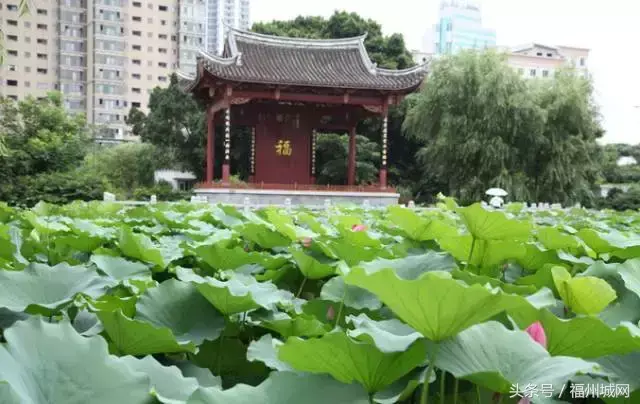 壶江岛旅游攻略_岛旅游景点_壶江岛好玩吗