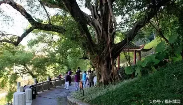 壶江岛好玩吗_壶江岛旅游攻略_岛旅游景点