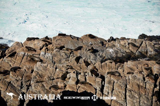 深圳南澳海滩旅游攻略_南澳旅游攻略_南澳旅游人次