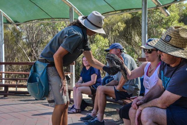 深圳南澳海滩旅游攻略_南澳旅游攻略_南澳旅游人次