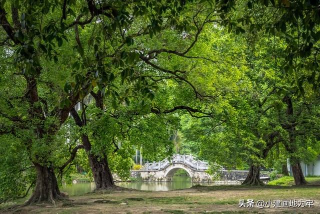 广州前十景点免费又好玩_广州市有什么好玩的景点_广州新塘什么景点好玩