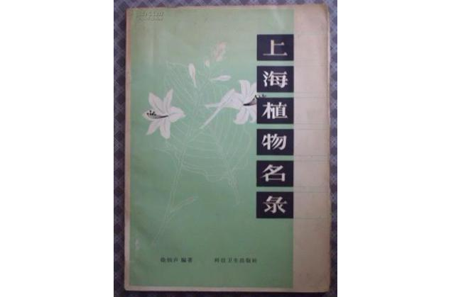 深圳免费景点好玩排名_深圳有哪些好玩的免费景点_深圳哪里免费景点好玩