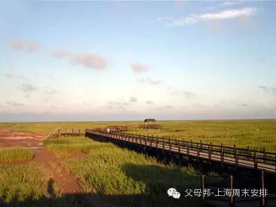 东滩湿地公园旅游攻略_东滩湿地露营攻略_杭州湾湿地旅游攻略