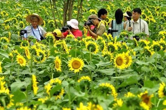 广州番禺好玩景点介绍_广州哪些景点好玩又好看_广州有啥好玩的景点