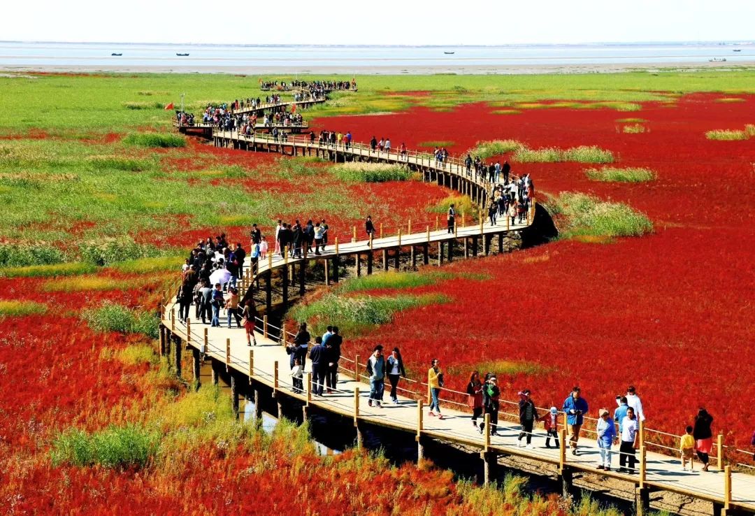 辽宁红海滩好玩的景点_辽宁红海滩旅游攻略_辽宁红海滩附近景点