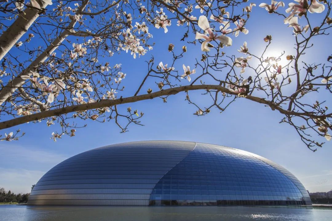 北京有哪些好玩的地方免费开放_北京有哪里免费开放的地方_好玩开放免费地方北京有几个