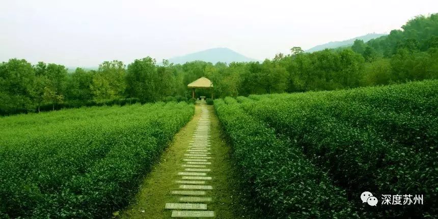 淮安市区好玩的景点_淮安市区的景点_淮安市区游玩