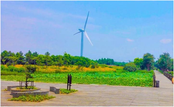 骑行崇明岛最佳路线_崇明骑行活动_崇明岛骑行旅游攻略