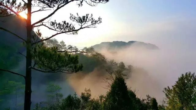 武夷山冬季旅游攻略_冬季武夷山好玩吗_冬天游武夷山攻略