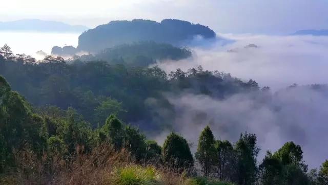 冬季武夷山好玩吗_武夷山冬季旅游攻略_冬天游武夷山攻略