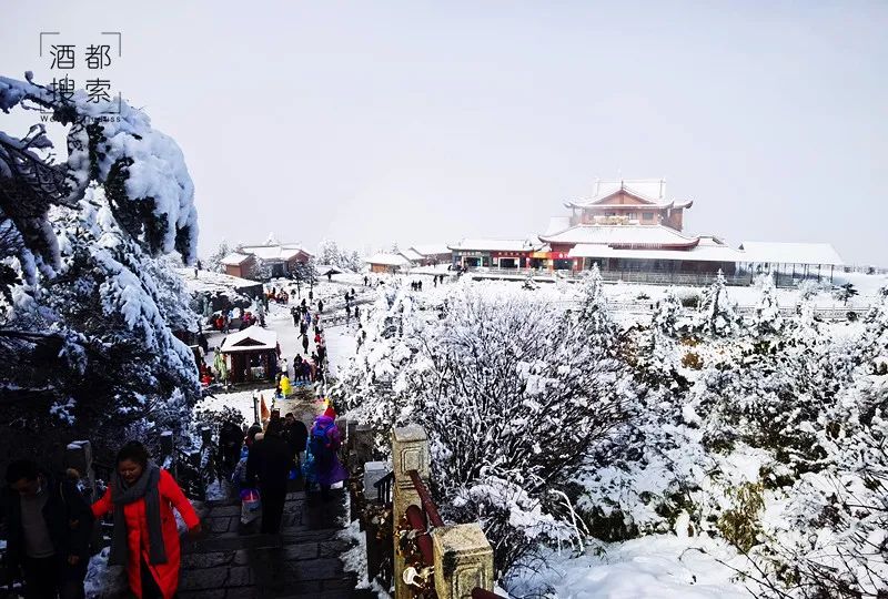 乐山大佛一日游价格_乐山大佛旅游攻略一天_乐山大佛一日旅行