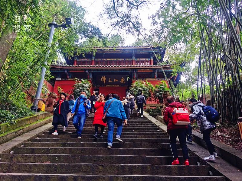 乐山大佛旅游攻略一天_乐山大佛一日旅行_乐山大佛一日游价格