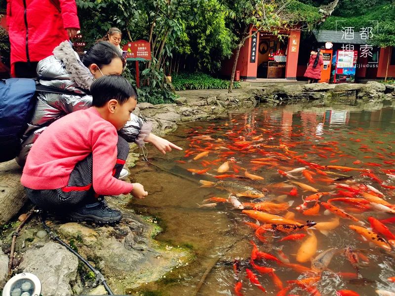 乐山大佛旅游攻略一天_乐山大佛一日游价格_乐山大佛一日旅行