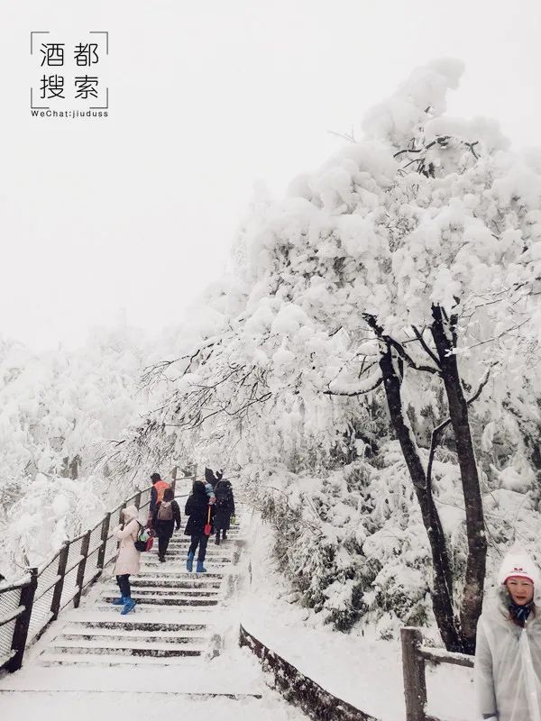 乐山大佛一日旅行_乐山大佛旅游攻略一天_乐山大佛一日游价格