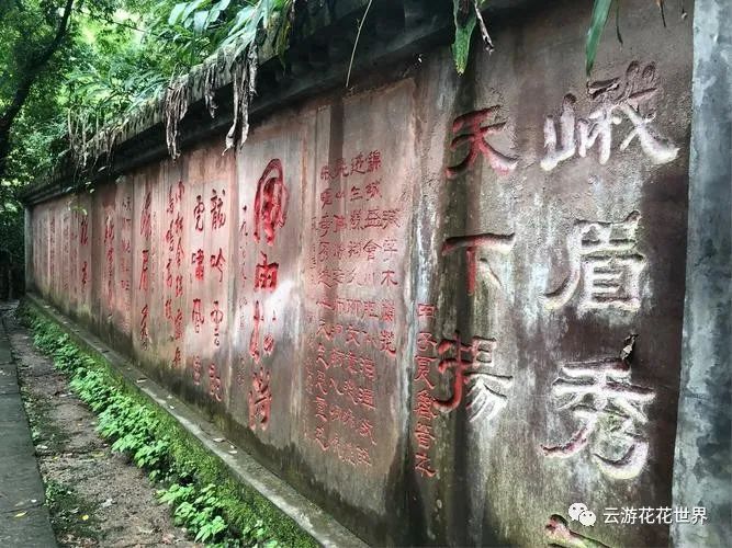 乐山大佛旅游攻略一天_乐山大佛一日旅行_乐山大佛一日游价格