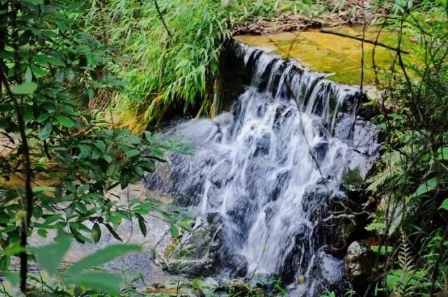 肇庆九龙湖门票多少钱_肇庆九龙湖风景区门票价格_肇庆九龙湖旅游攻略