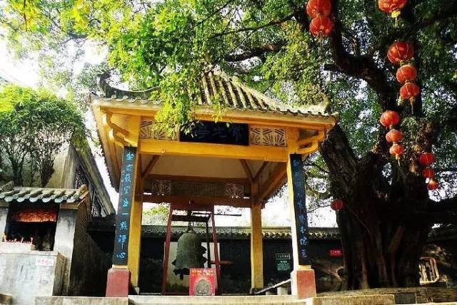 肇庆九龙湖旅游攻略_肇庆九龙湖风景区门票价格_肇庆九龙湖门票多少钱