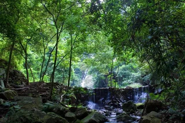 肇庆九龙湖旅游攻略_肇庆九龙湖风景区门票价格_肇庆九龙湖门票多少钱