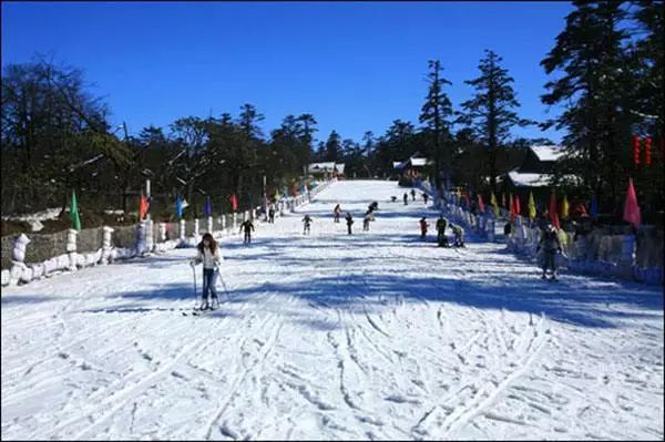 成都乐山峨眉山旅游攻略_乐山黑竹沟旅游攻略_乐山大佛旅游攻略一天