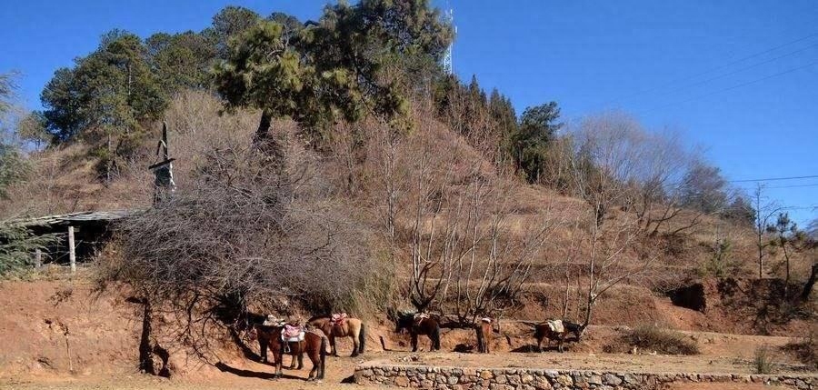 国内旅游去哪里_旅游国内去新加坡怎么办签证_国内旅行去哪