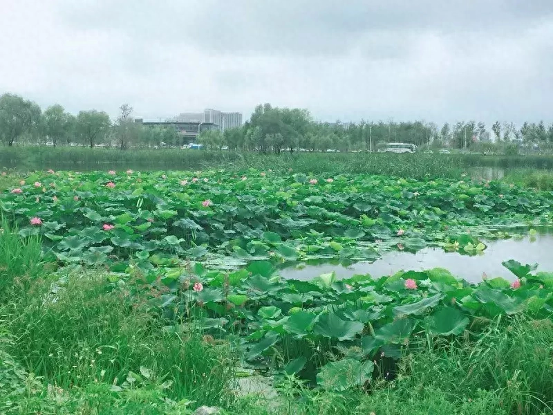 长春有啥好玩的地方_长春的好玩_好玩长春地方有什么