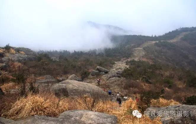 南麂岛怎么玩_南麂岛旅游攻略_南麂岛游记