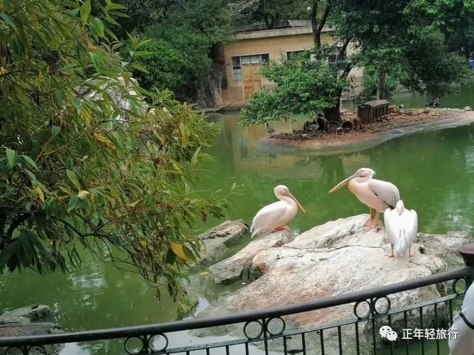 昆明好玩的景点_好玩昆明景点在哪里_昆明好玩儿的景点