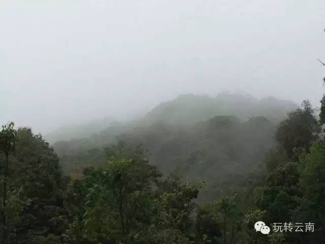 昆明好玩的景点_好玩昆明景点在哪里_好玩昆明景点推荐