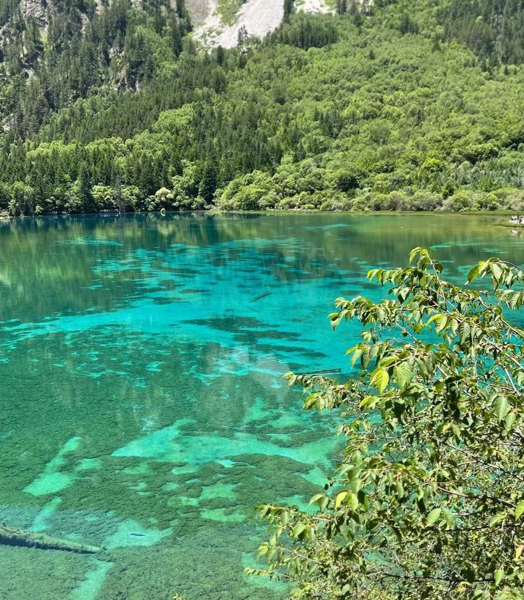 黄龙九寨在哪里_九寨黄龙经典旅游攻略_黄龙九寨沟旅游攻略