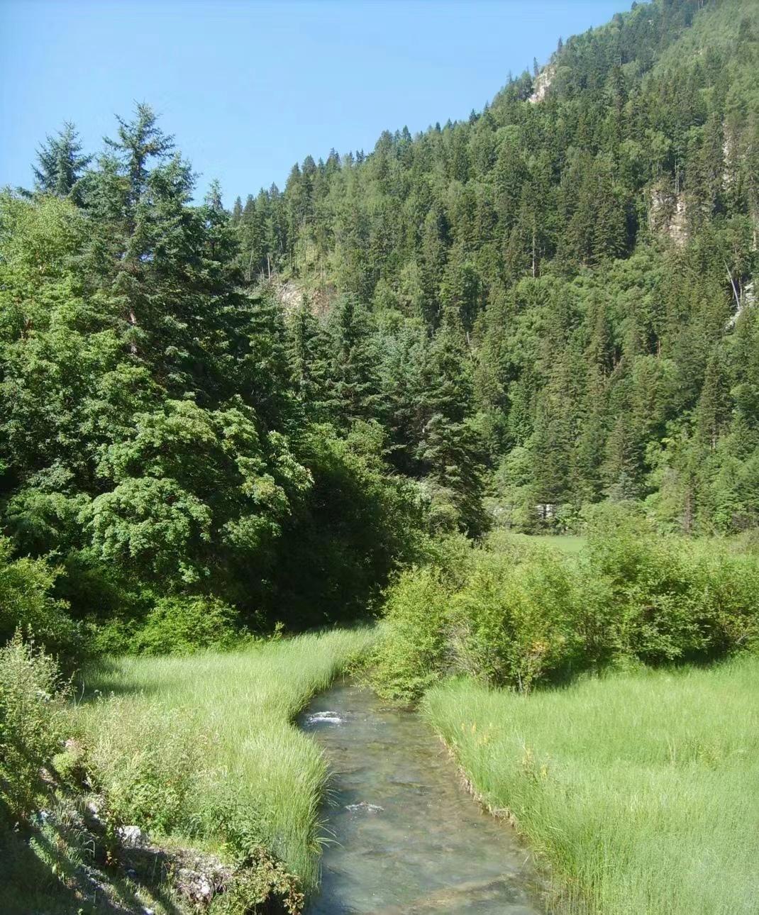 黄龙九寨在哪里_黄龙九寨沟旅游攻略_九寨黄龙经典旅游攻略