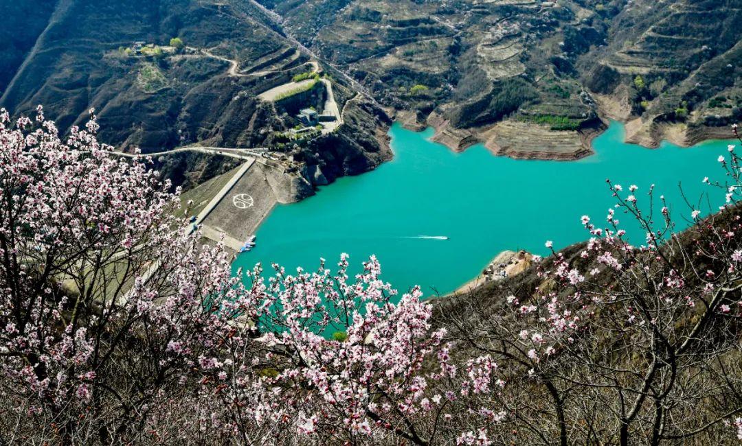 文县旅游攻略_文县白马旅游艺术节_甘肃文县旅游