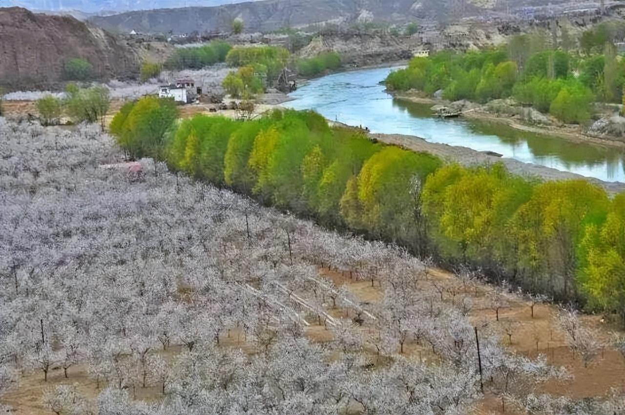 文县白马旅游艺术节_文县旅游攻略_甘肃文县旅游