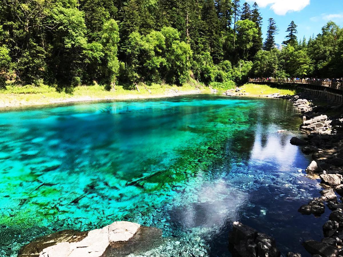 文县天池旅游攻略_文县白马旅游艺术节_文县旅游攻略