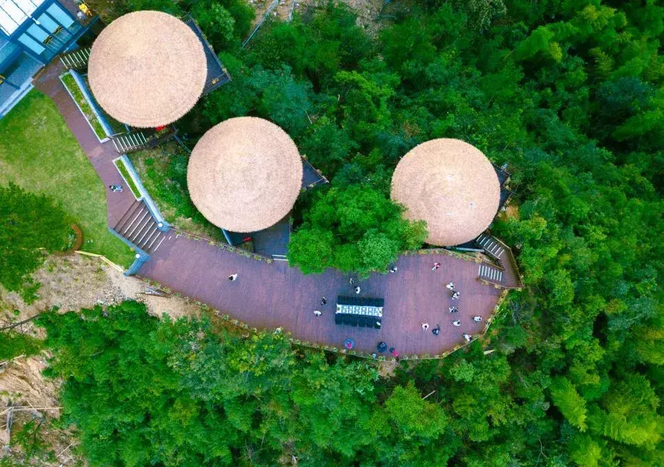 浚县大伾山旅游攻略_海坨山旅游攻略_天柱山旅游攻略网