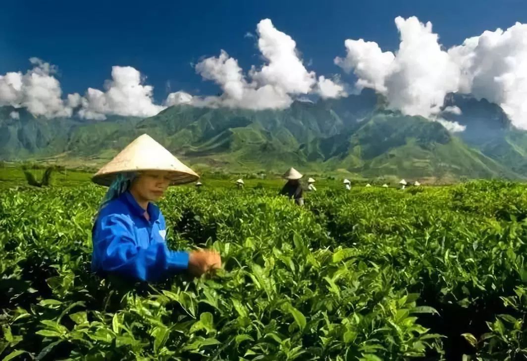 吴哥旅游用谷歌地图_11月出国去哪里旅游好_出国旅游用什么地图