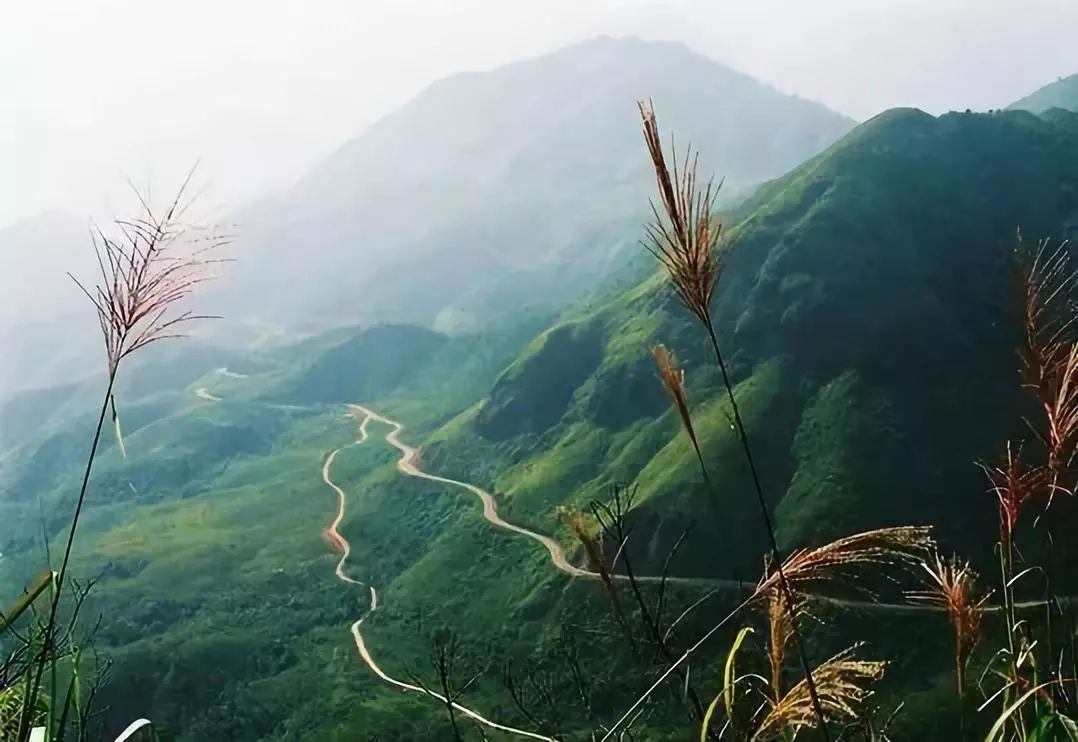 吴哥旅游用谷歌地图_11月出国去哪里旅游好_出国旅游用什么地图