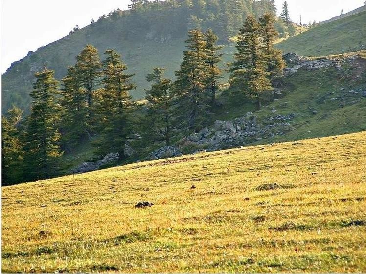 福州永泰云顶旅游攻略_山西云顶山旅游攻略_云顶旅游攻略