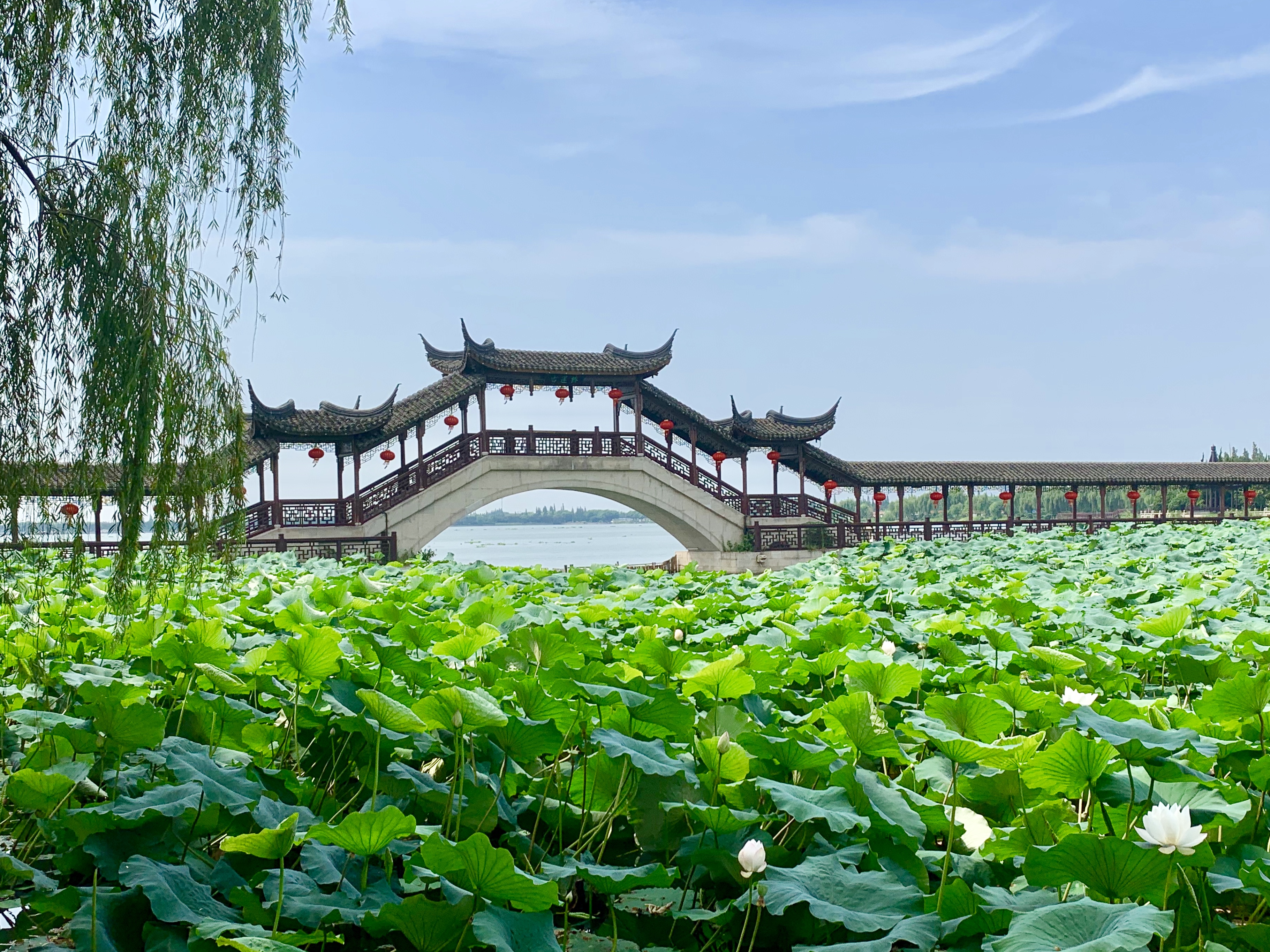 龙门古镇好玩_龙门古镇旅游攻略_古镇龙门在哪里