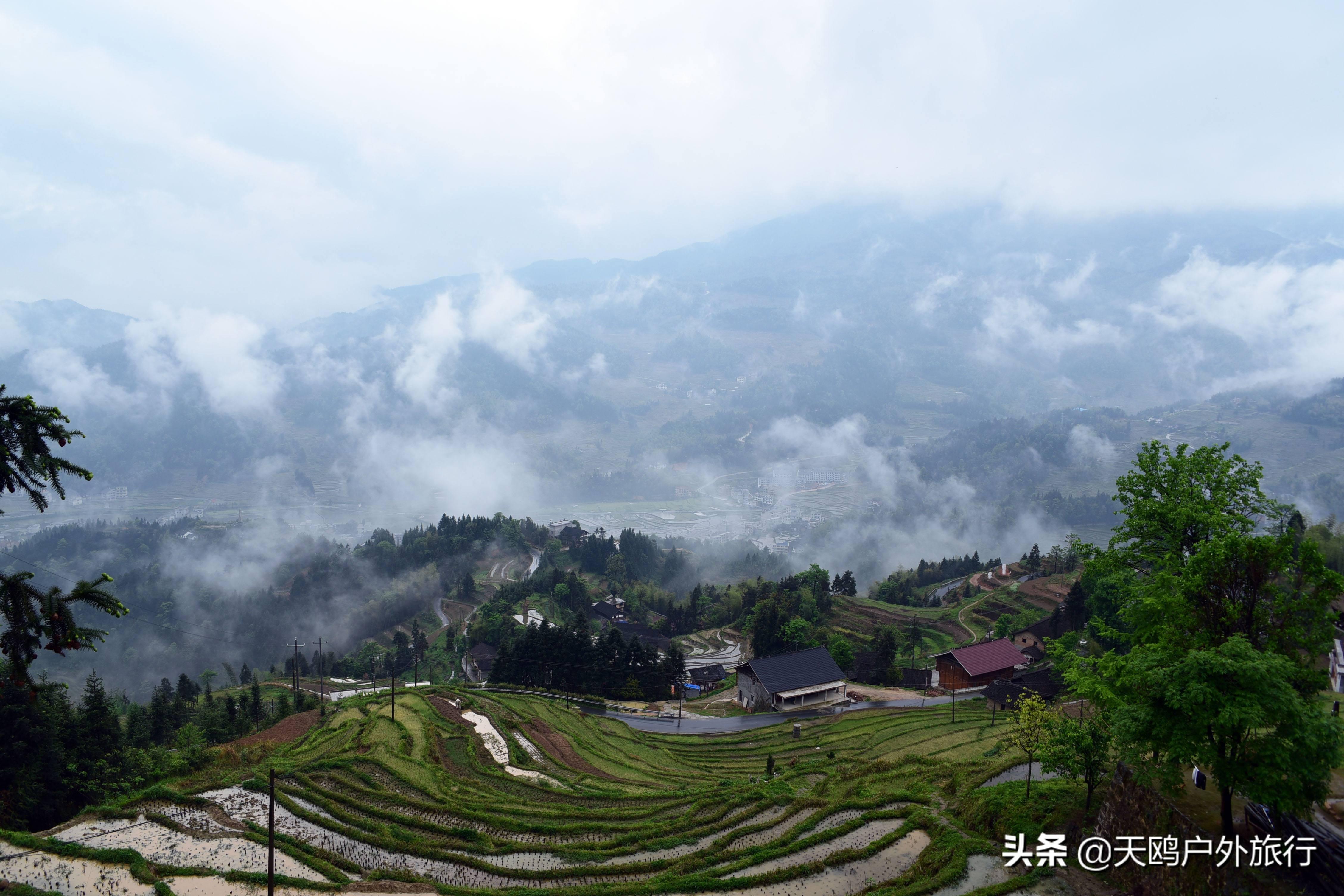 紫鹊界梯田文案_紫鹊界梯田旅游攻略_紫鹊界梯田诗词