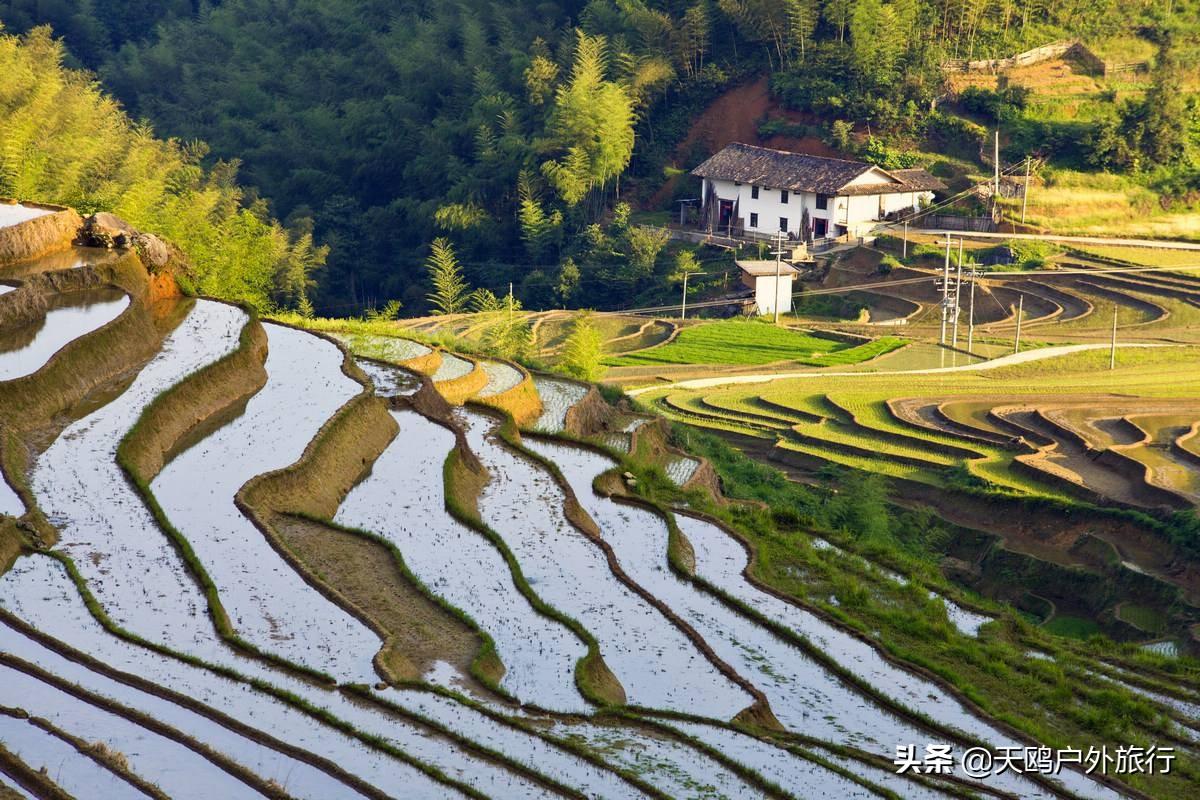 紫鹊界梯田诗词_紫鹊界梯田旅游攻略_紫鹊界梯田文案