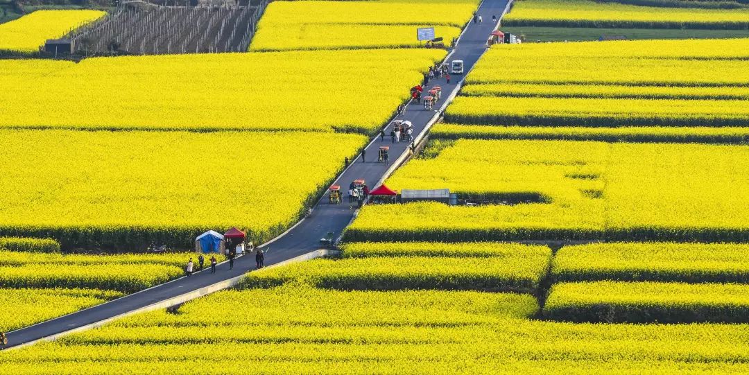 春天国内旅游_峡内忆行春_芦台春内供酒