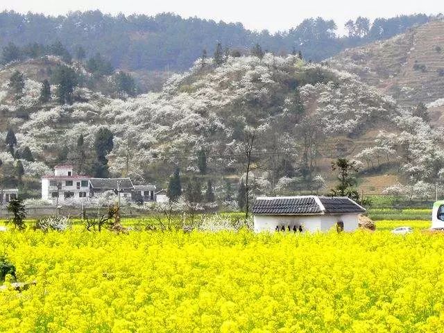 峡内忆行春_芦台春内供酒_春天国内旅游