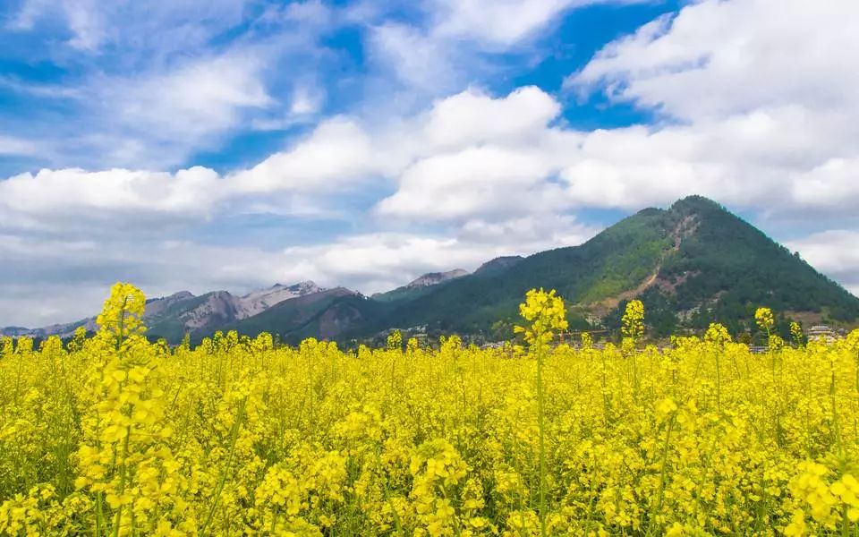 春天国内旅游_峡内忆行春_芦台春内供酒